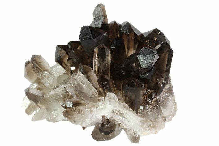 Dark Smoky Quartz Crystal Cluster - Brazil #84850